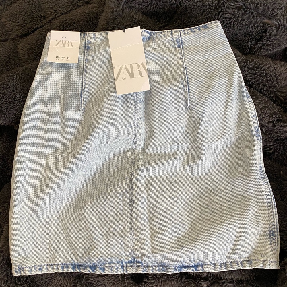Zara Skirt